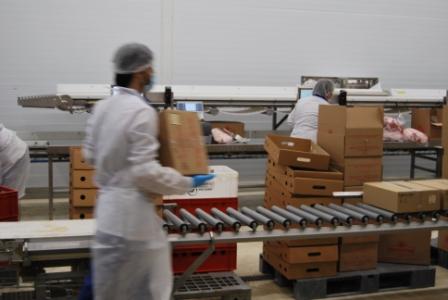 Упаковка колбасных изделий с применением инновационных технологий и оборудования